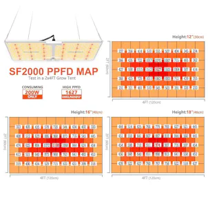Photo of 'The Essentials' Grow Kit | Spider Farmer LED | Gorilla Grow Tent | 2’ x 4’