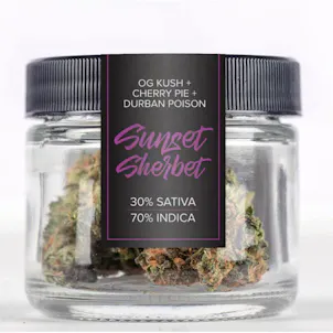 Photo of Sherbert (Sunset Sherbet) Flower