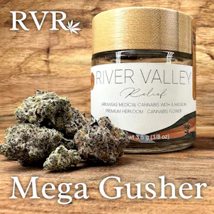 Photo of Mega Gusher Hybrid Flower