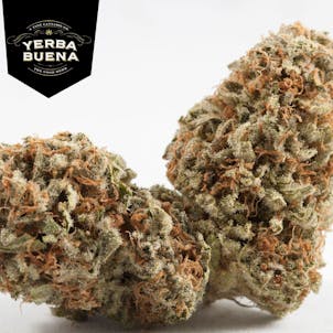 Photo of Banana Kush