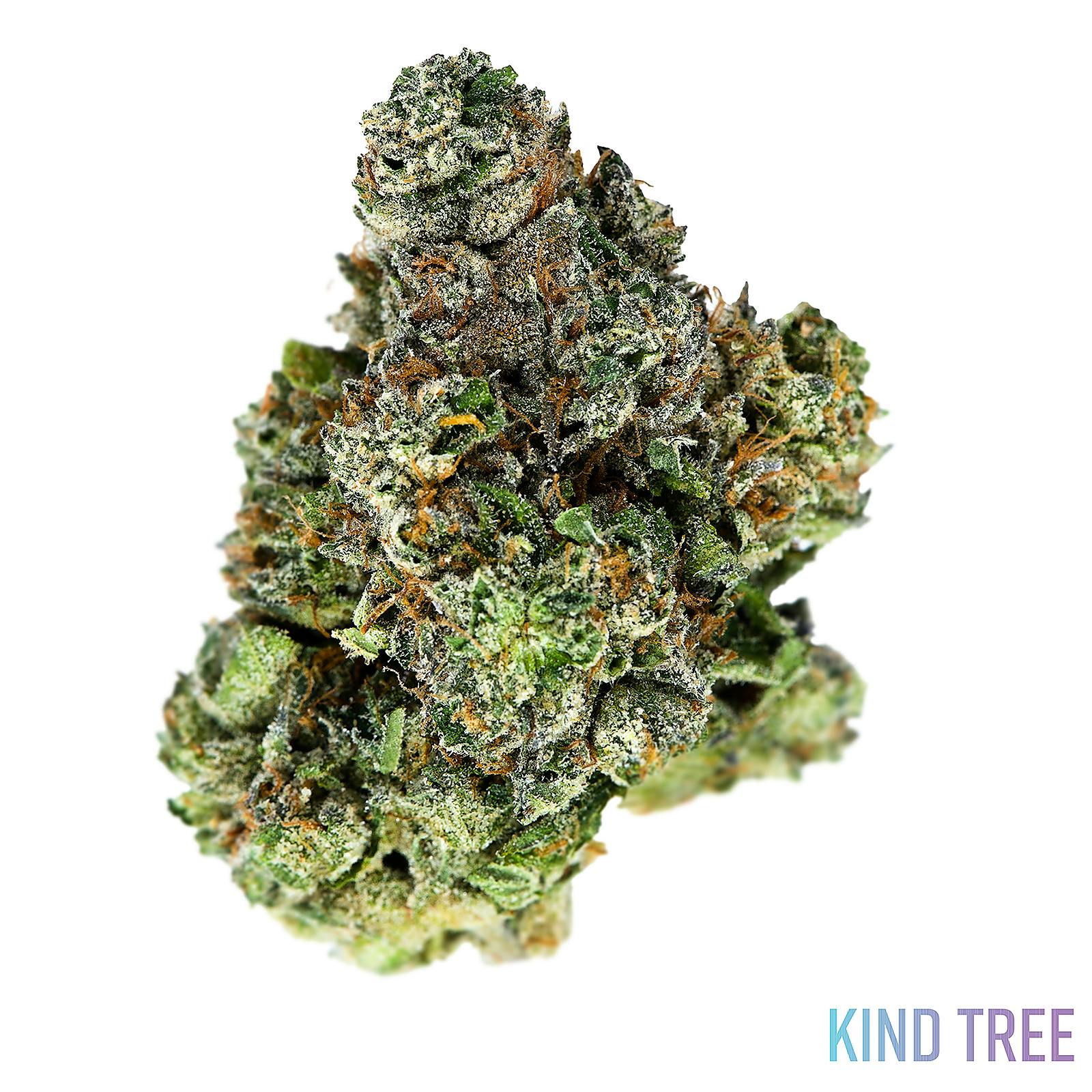 Kind Tree Cannabis Bully Kush Leafly