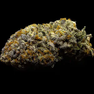 Photo of RGB Black - Sero'Q Flower