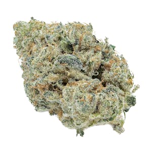 Photo of ARK Blue Iguana