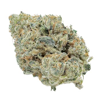 Photo of ARK Blue Iguana