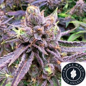 Photo of Pink Runtz - 14g