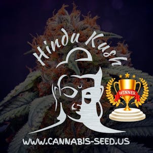 Photo of Hindu Kush | 100 PACK