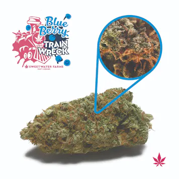 Photo of Blueberry Trainwreck