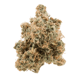 Photo of Silver Hawk