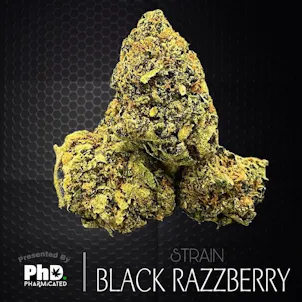 Photo of PhD Indoor Flower - Black Razzberry