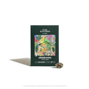 Photo of Ginger Dawg