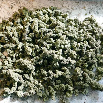 Photo of Suver Haze CBD Flower