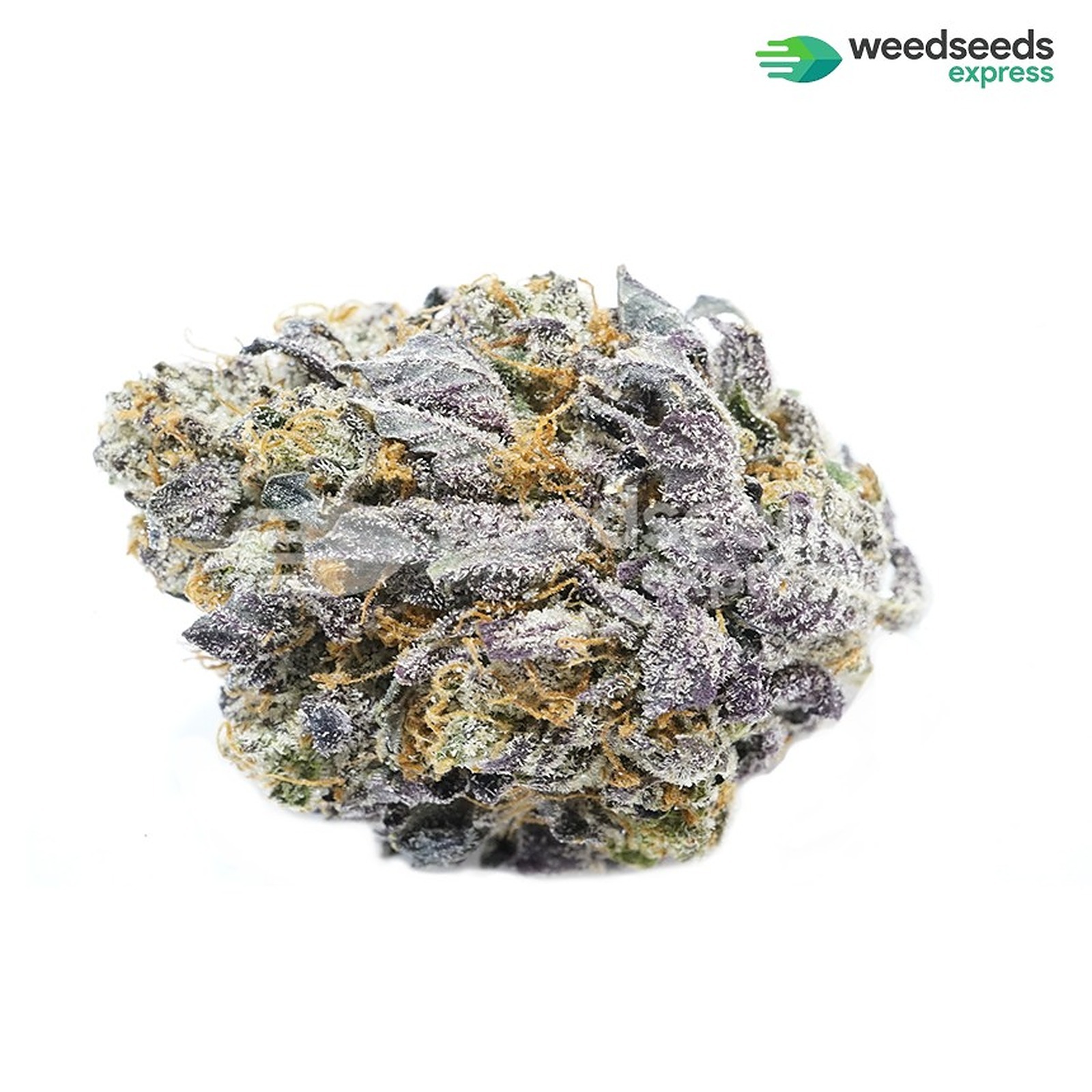 Weedseedsexpress: Granddaddy Purple Autoflowering Seeds | Leafly