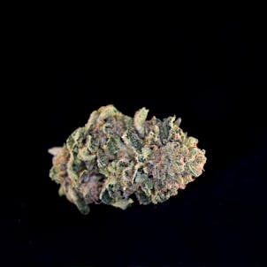 Photo of Pineapple S.A.G.E.