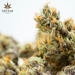 Product image for Papayahuasca