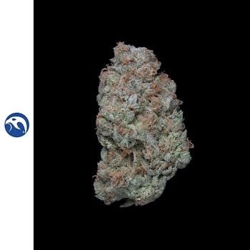 Lemon Cookies (U) 3.5g by Falcanna