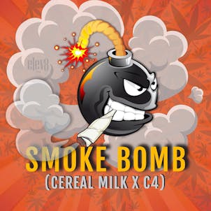 Product image for Smoke Bomb