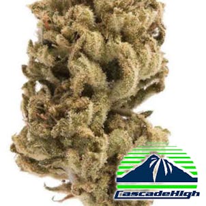 Photo of Durban Poison