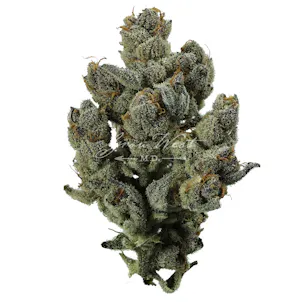 Photo of Mad Tiger Premium
