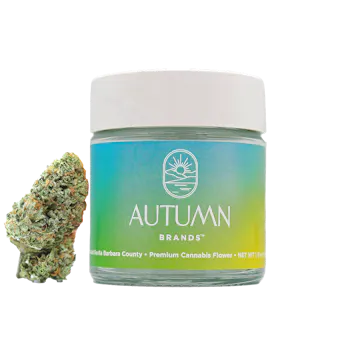 Photo of Blue Dream Premium 3.5g Jar - Sativa