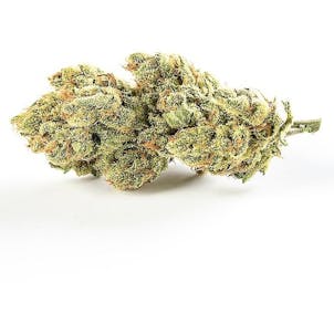 Photo of Jerusalem Groove