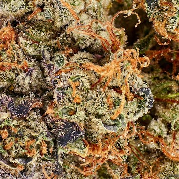 Photo of BC Pink Kush