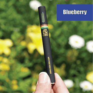 Photo of 50mg Blueberry CBD Disposable Vape Pen