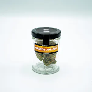 Photo of Orange Apricot 3.5g