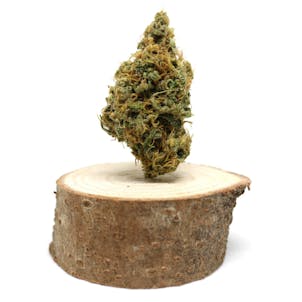 Photo of Unicorn Flower