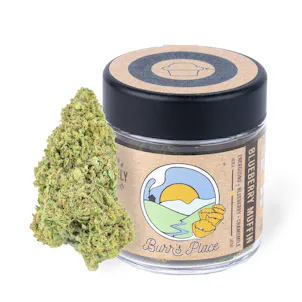 Photo of Blueberry Muffin - 3.5g Jar
