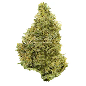 Photo of Moonshine Daze Trimmed | Gold