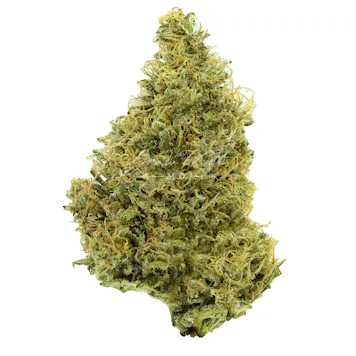 Photo of Moonshine Daze Trimmed | Gold