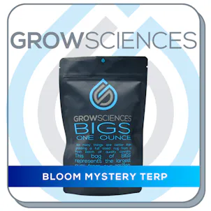 Photo of Bloom Mystery Terp Bigs