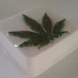 Product image for WHITE WIDOW - Hemp Soap