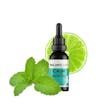 Product image for CBD Oil Tinctures Mint Mojito – 500mg