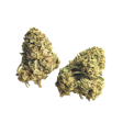 Product image for Fruit Loops CBD Flower - Green Nursery CBD Hemp Flower