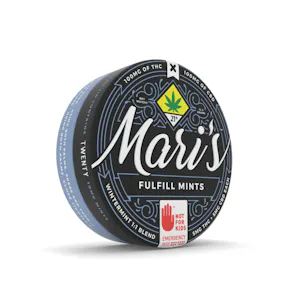 Photo of 1:1 Fulfill Mints Wintermint 200mg 20-pack