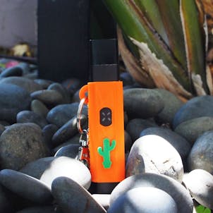 Photo of Terrapin PAX ERA Case + Keychain, "Cactus" *Customizable