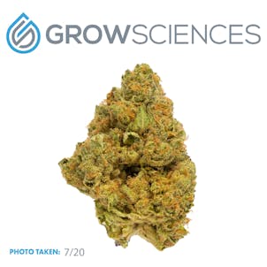 Photo of Rain Mints (3.7)