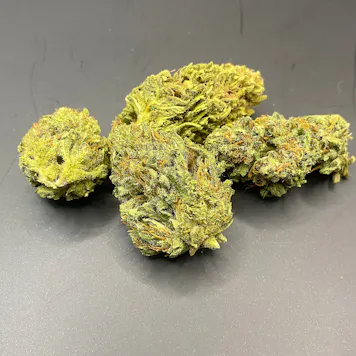 Photo of Sour Elektra