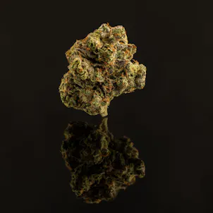 Photo of Cannabis Flower Studio Photography