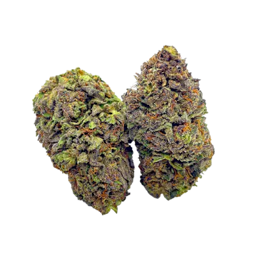 Photo of Blueberry Pie CBD Hemp Flower - The Green Nursery