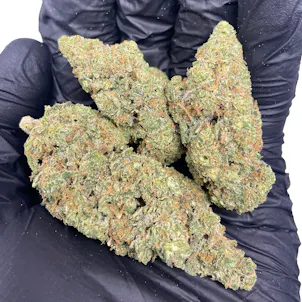 Photo of Indoor Early Blossom