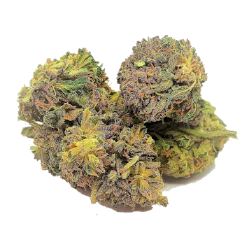 Photo of Buy CBD Flower