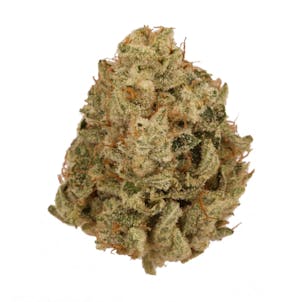 Photo of Super Glue
