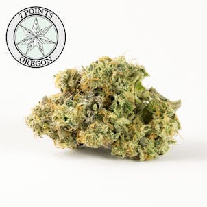 Photo of Albert Walker