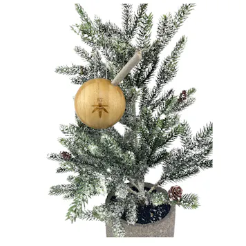 Photo of Bzz Ball Holiday Ornament (3-pack)