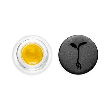 Photo of Sweet Leeroy Live Sauce