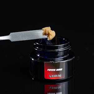 Photo of Humboldt Terp Council | Live Rosin Papaya Bomb 1g