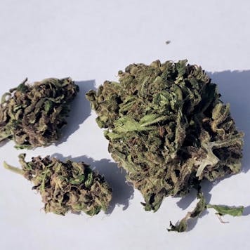Photo of Russian Automatic (RNA) Hemp flower