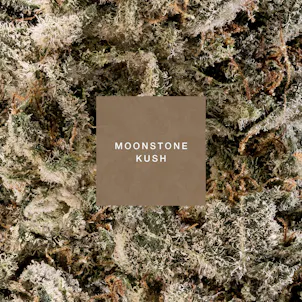 Photo of MOONSTONE KUSH